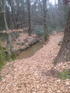 Märzwanderung 002